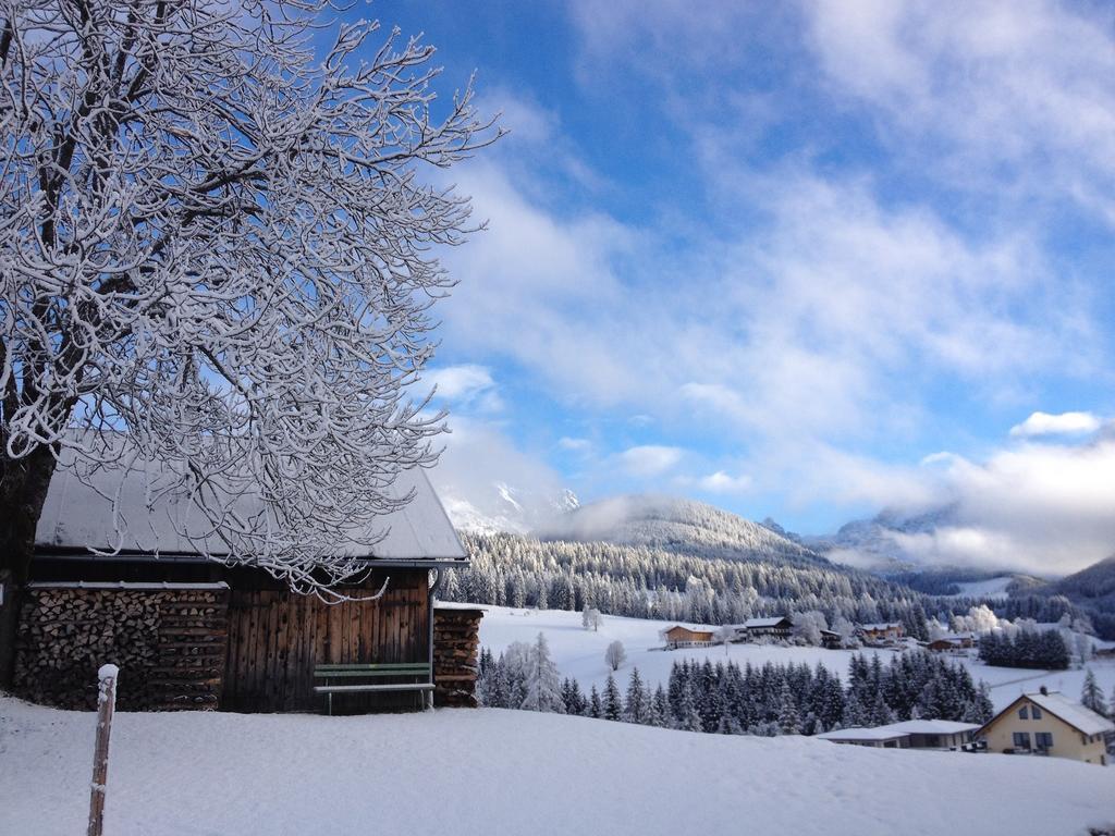Ferienwohnung Bergblick Filzmoos Oda fotoğraf