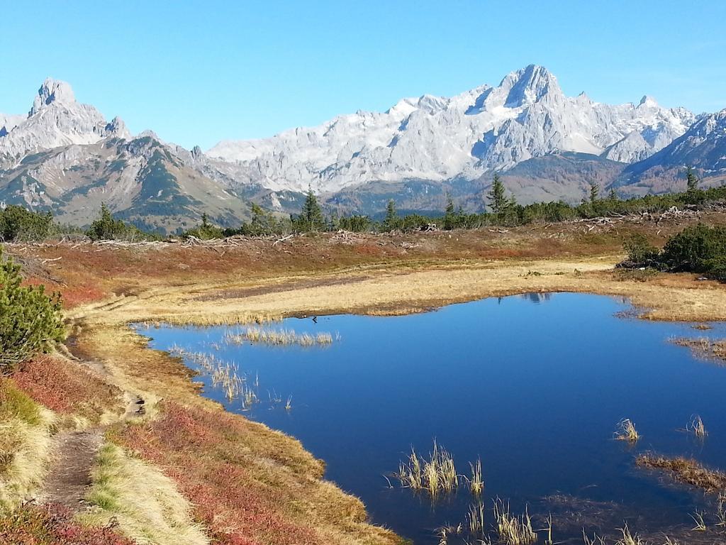 Ferienwohnung Bergblick Filzmoos Oda fotoğraf