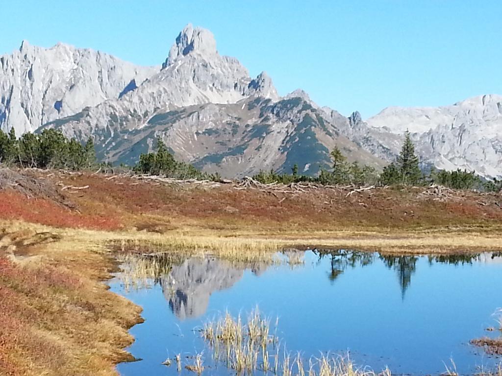 Ferienwohnung Bergblick Filzmoos Oda fotoğraf