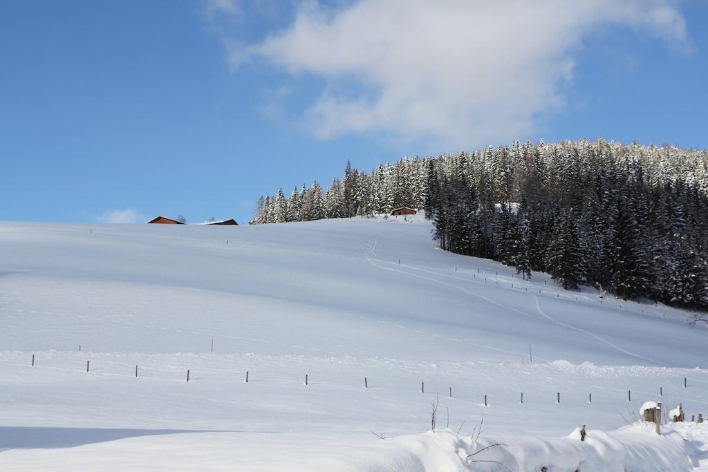 Ferienwohnung Bergblick Filzmoos Oda fotoğraf