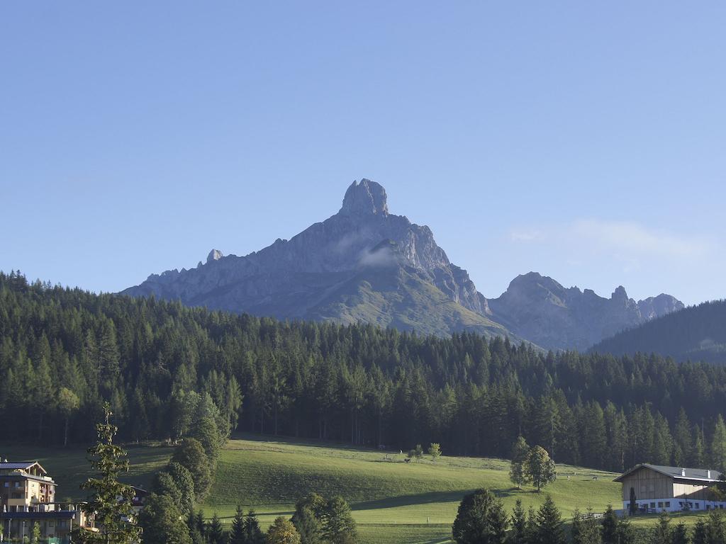 Ferienwohnung Bergblick Filzmoos Oda fotoğraf